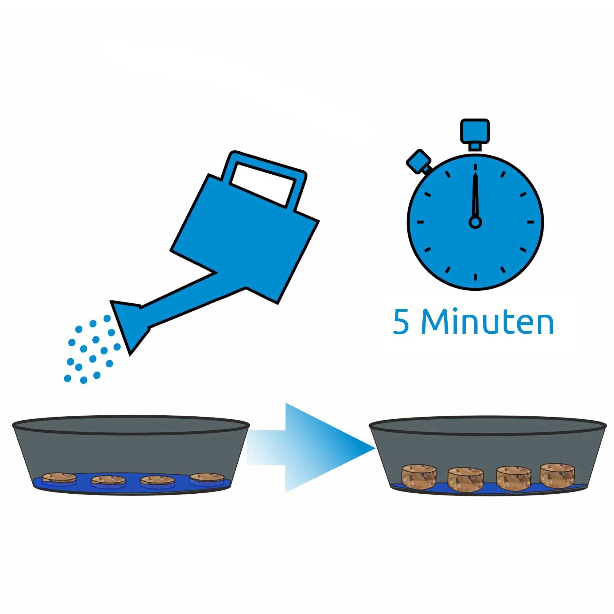 Grafik zur Anwendung der yourGEAR Kokos Quelltabletten: Quelltabletten in Schale, Wasserkanne, Stoppuhr mit 5 Minuten, aufgequollene Tabletten nach Wasserzugabe. Ideal für Anzucht, torffrei und ungedüngt.