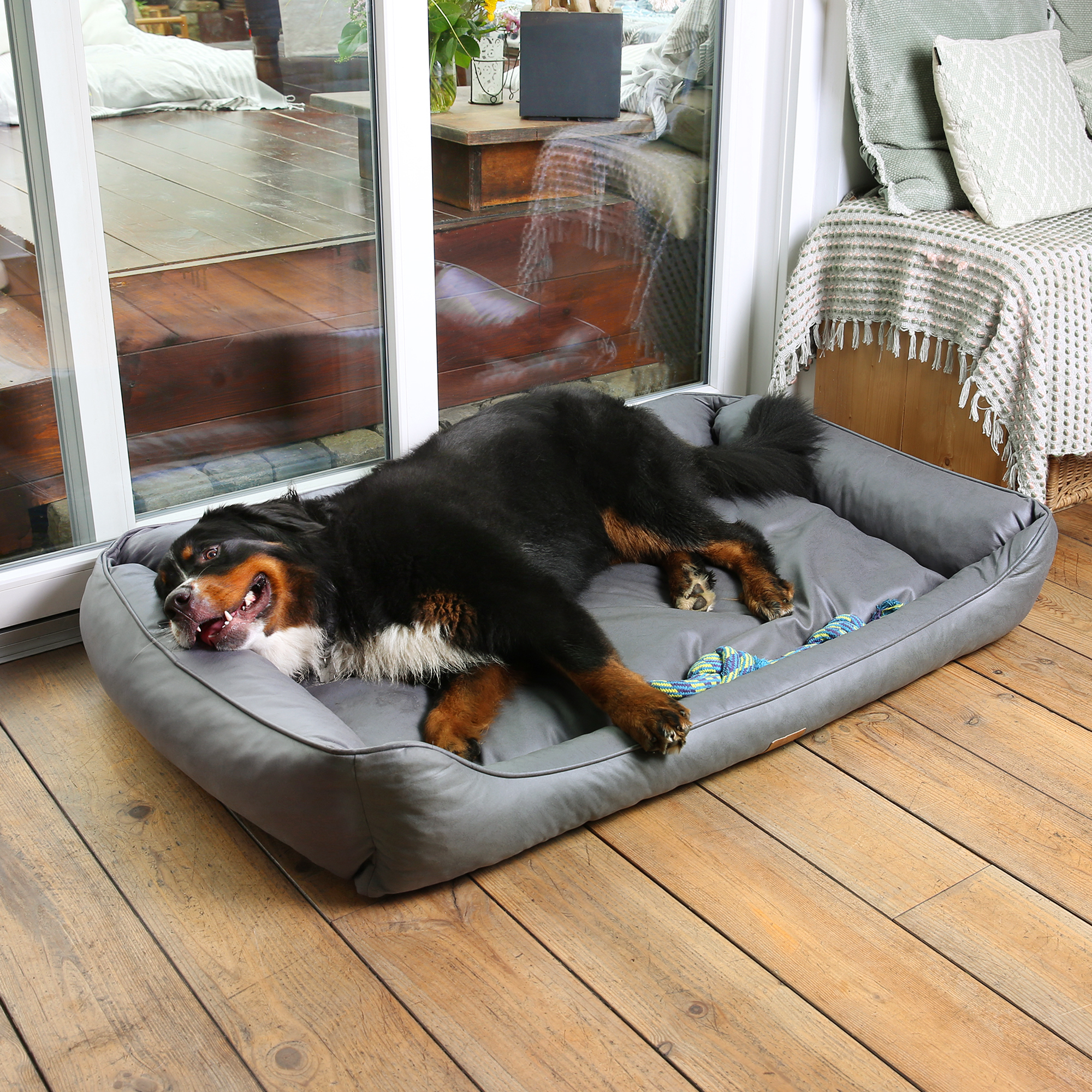 your GEAR Belluno 90x140 cm orthopädisches Hundebett, Hundekorb, waschbar & hygienisch