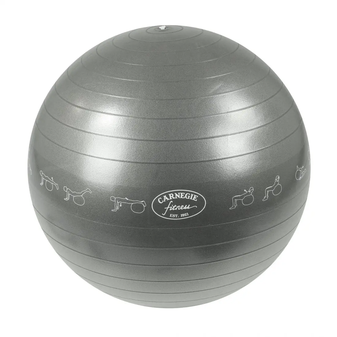 Palla da ginnastica grigia Carnegie Fitness da 65 cm con logo, illustrazioni di esercizi stampate sulla superficie, ideale per yoga, pilates e allenamento quotidiano a casa o in palestra.