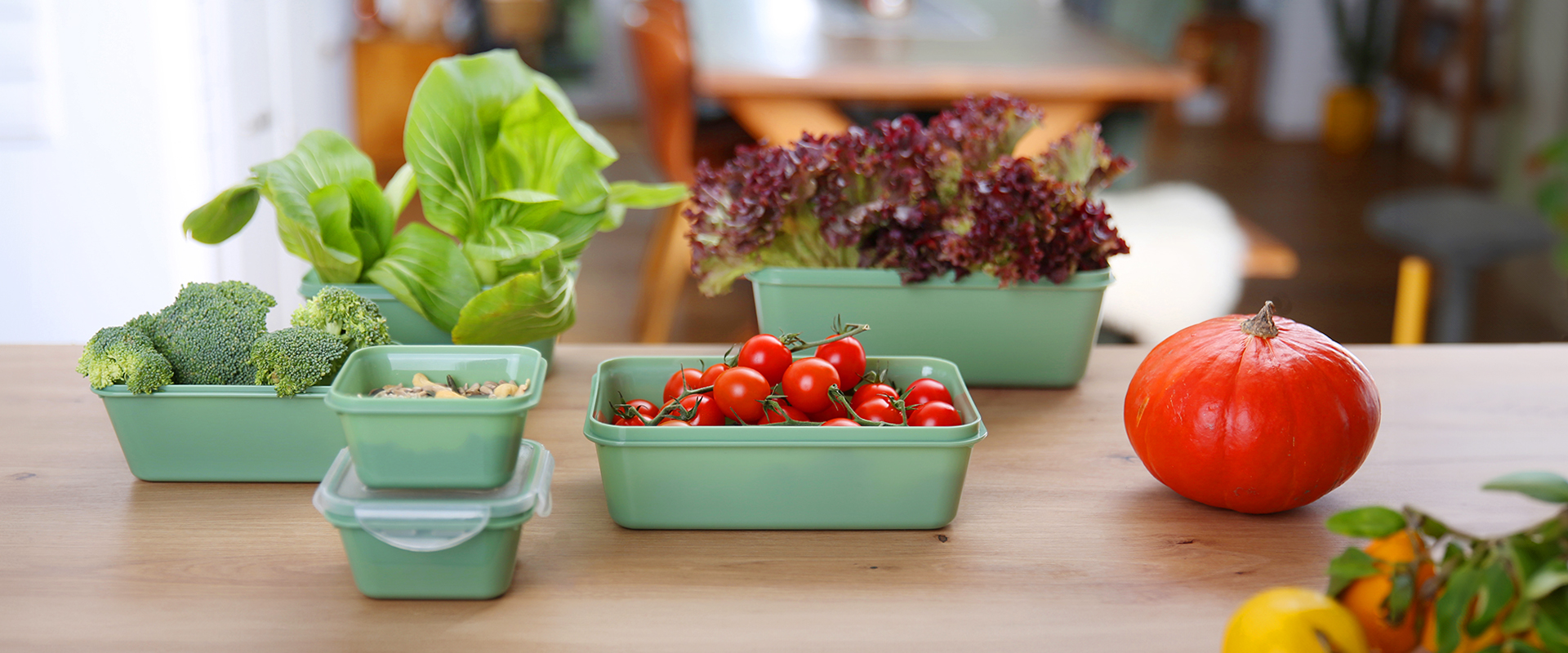 Fresh vegetables including broccoli, lettuce, tomatoes, and a pumpkin arranged in green storage containers on a wooden kitchen table.