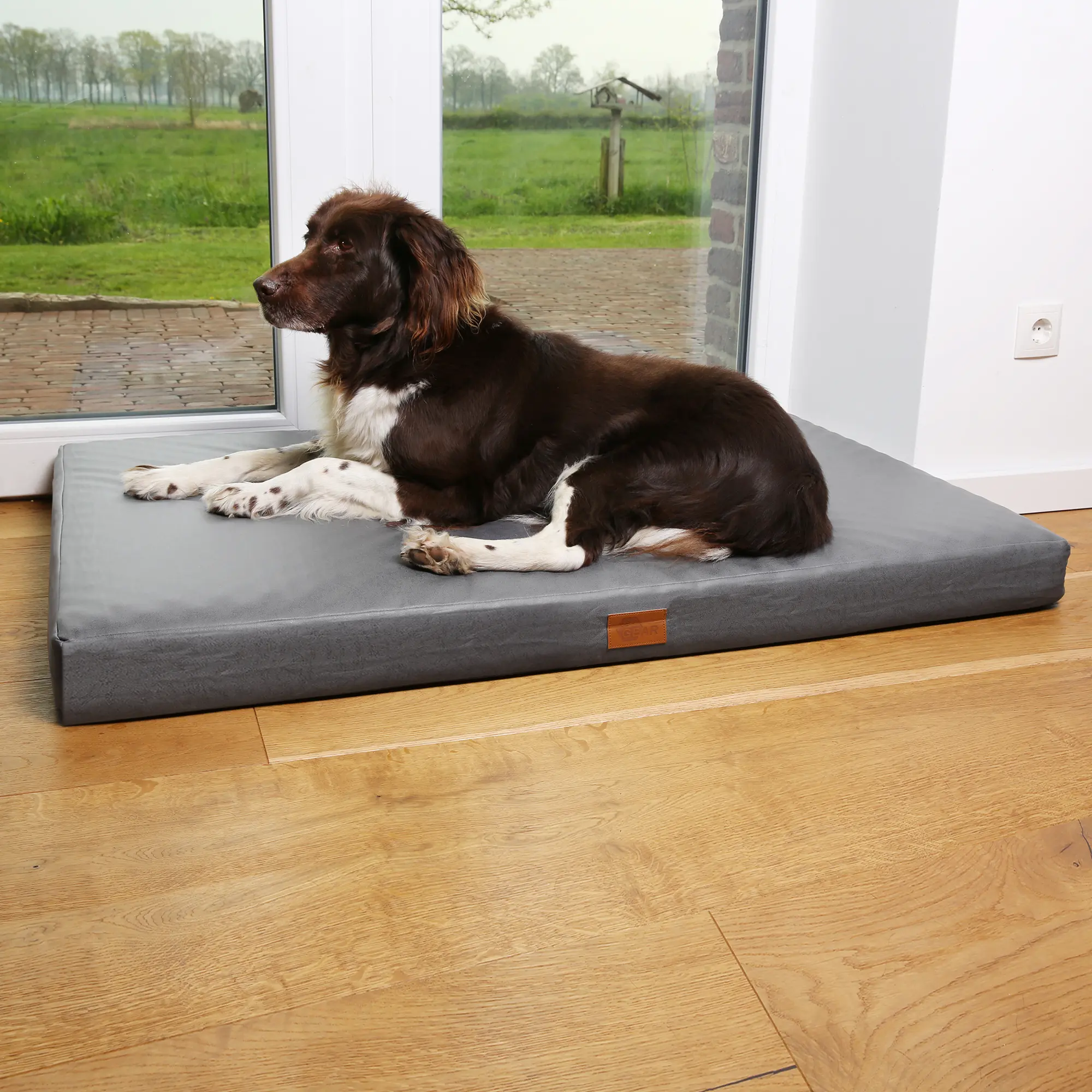 Chien couché sur un matelas orthopédique your GEAR Biella 120x80x10 cm, gris, rectangulaire, épais et lavable, posé sur un sol en bois près d’une grande fenêtre.
