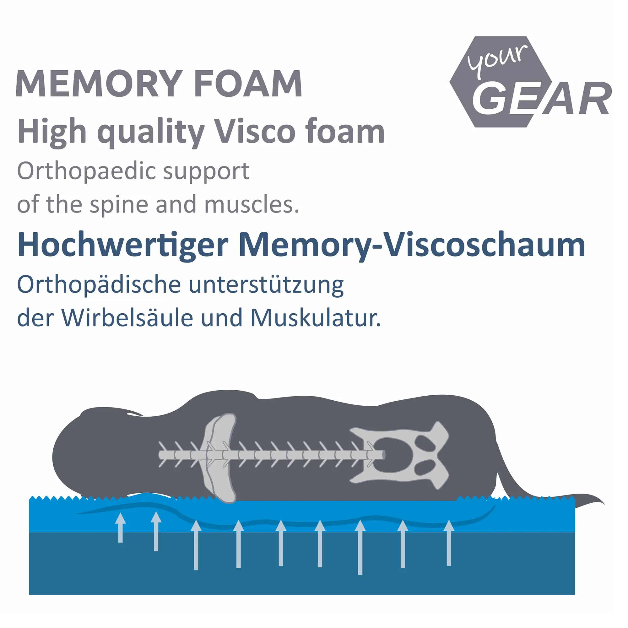 Grafik mit Hund auf orthopädischer your GEAR Hundematte aus Memory-Viscoschaum, Darstellung der Wirbelsäule und ergonomischer Unterstützung für Rücken und Muskulatur, Text auf Deutsch und Englisch.