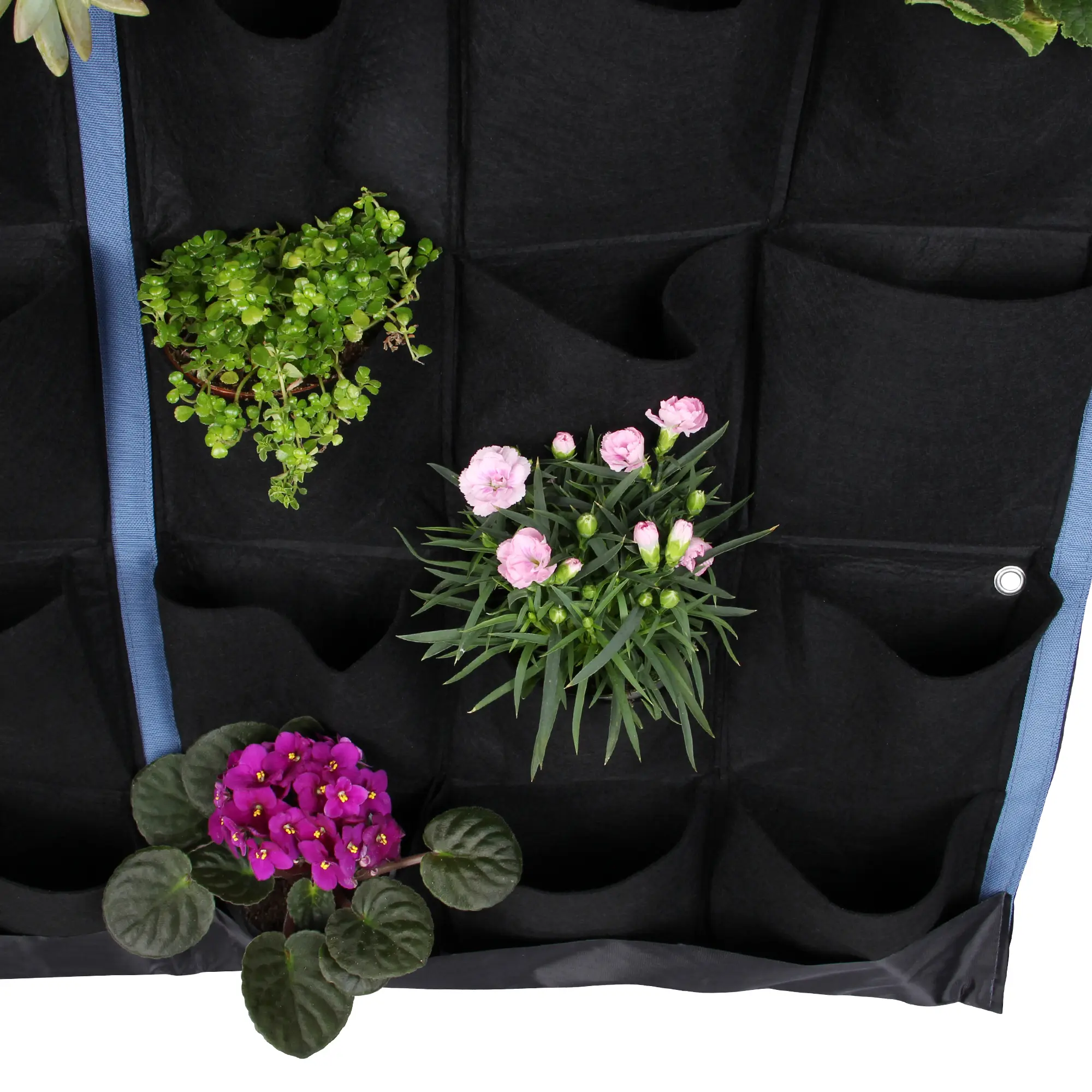 Bolsa de cultivo vertical yourGEAR Growbag con 36 bolsillos de fieltro negro, colgada en una pared, ideal para plantar hierbas y flores, muestra varias plantas en diferentes compartimentos.