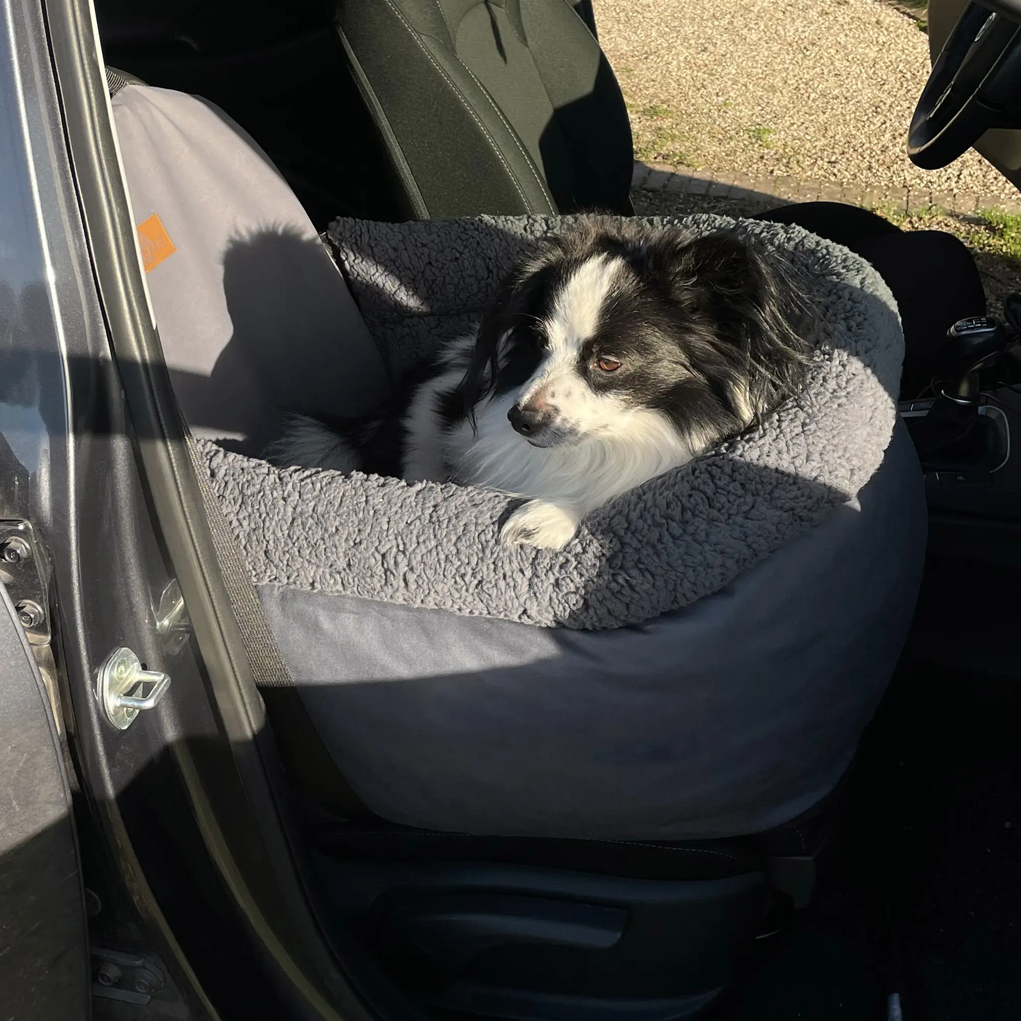 Chien assis dans un siège auto your GEAR Frontera gris, avec bords surélevés et tissu doux, installé sur le siège avant d’une voiture. Produit avec deux laisses ajustables pour la sécurité du chien.