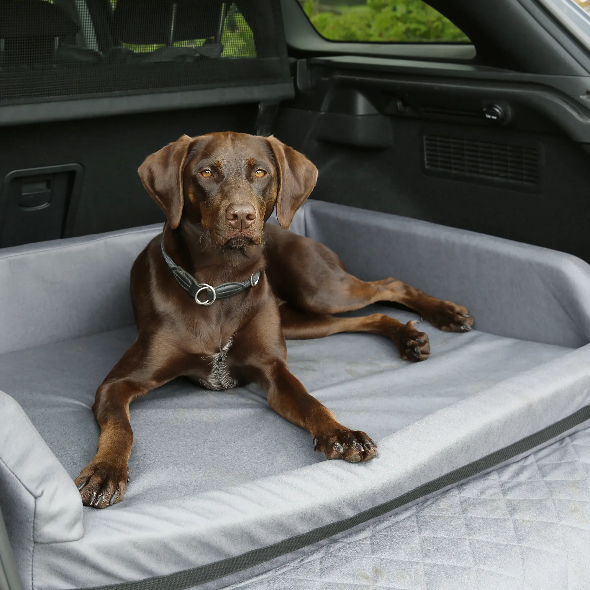 Chien allongé sur un lit pour coffre de voiture your GEAR Termoli 100 x 70 cm, avec bords rembourrés et protection de pare-chocs, adapté au transport sécurisé des chiens en voiture.