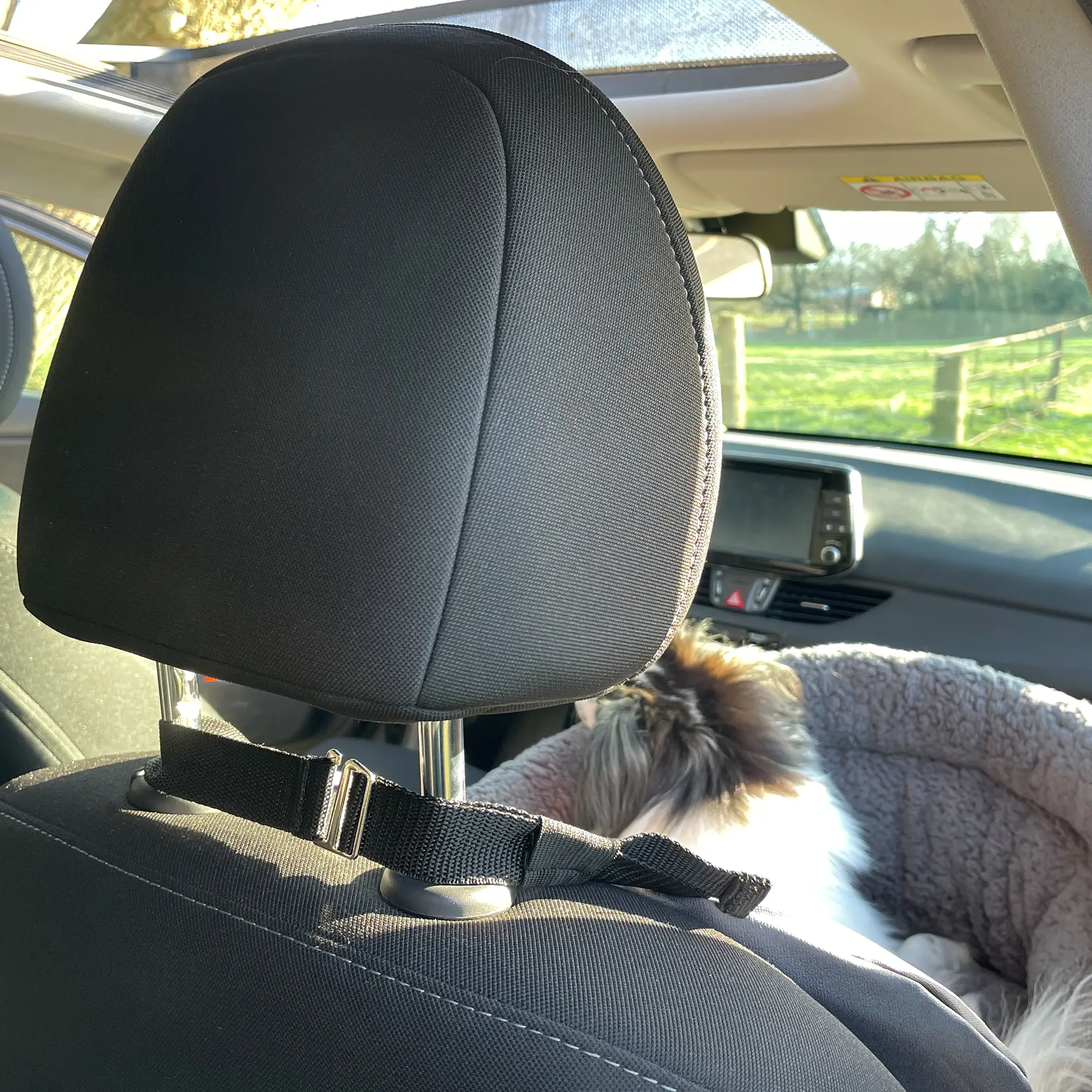Siège auto pour chien your GEAR Frontera installé sur siège avant, avec parois latérales surélevées, sangle de sécurité, deux laisses réglables et un chien blanc à poils longs allongé dans le panier.