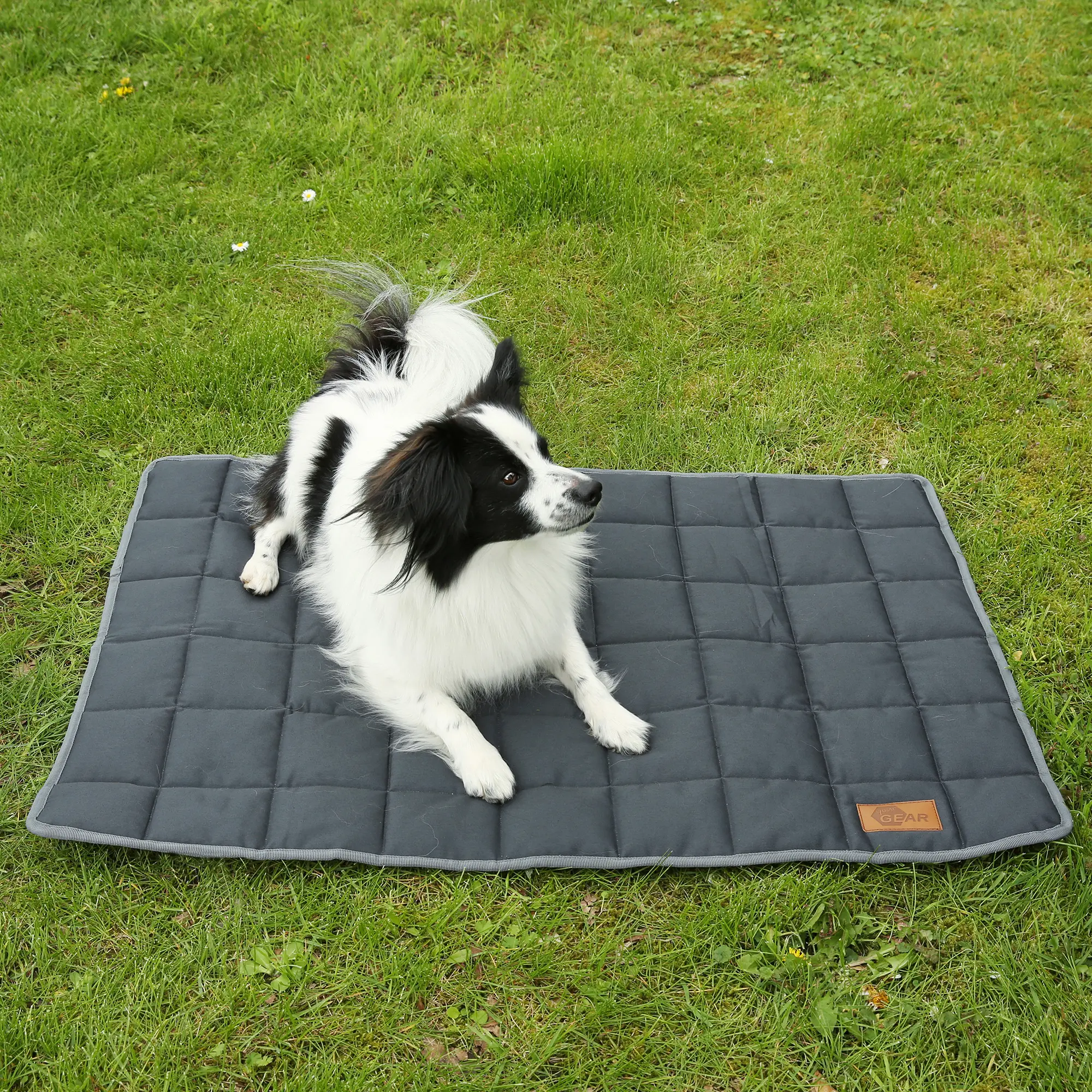 your GEAR Lana tapis pour chien 90 x 60 cm Couverture, coton OEKO-TEX, douce, robuste, lavable