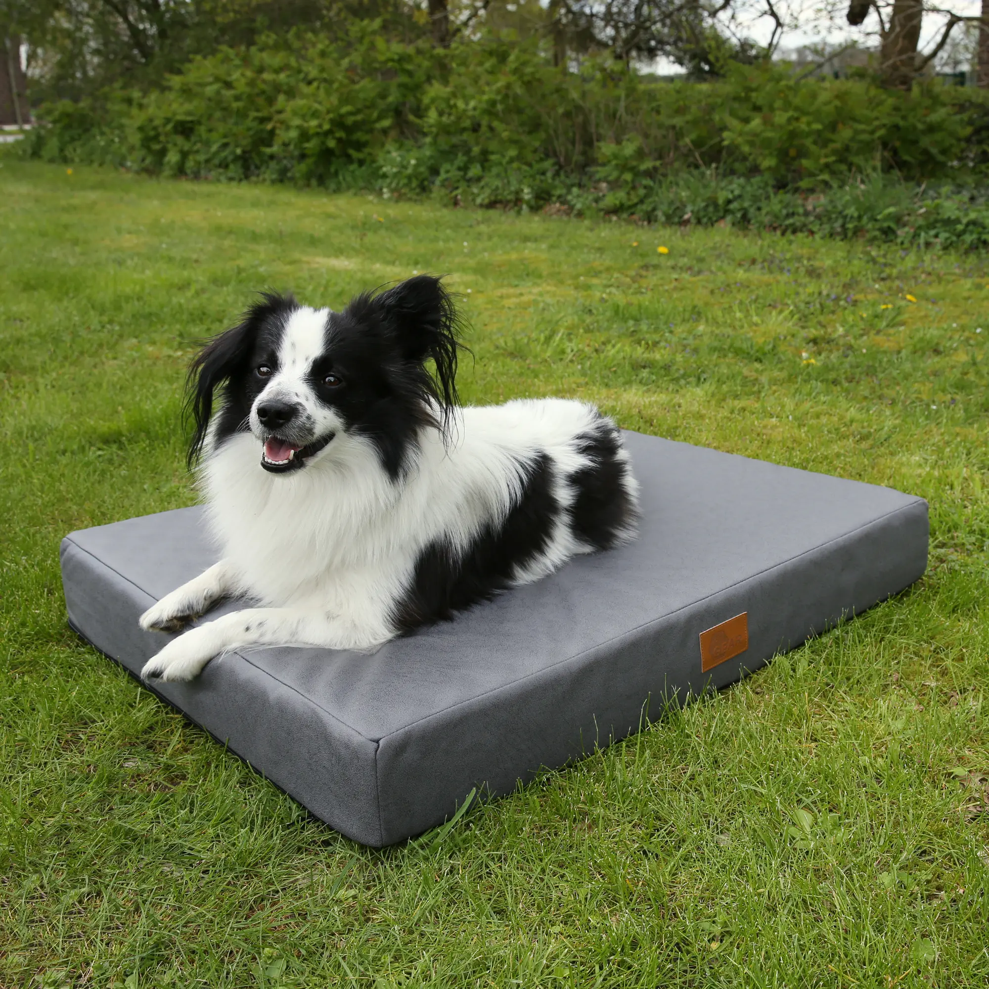 Schwarz-weißes Hund sitzt auf einer grauen, orthopädischen your GEAR Biella Hundematte (100x70x10 cm) aus OEKO-TEX Material, outdoor auf Rasen, rechteckig, maschinenwaschbar, mit braunem Label.