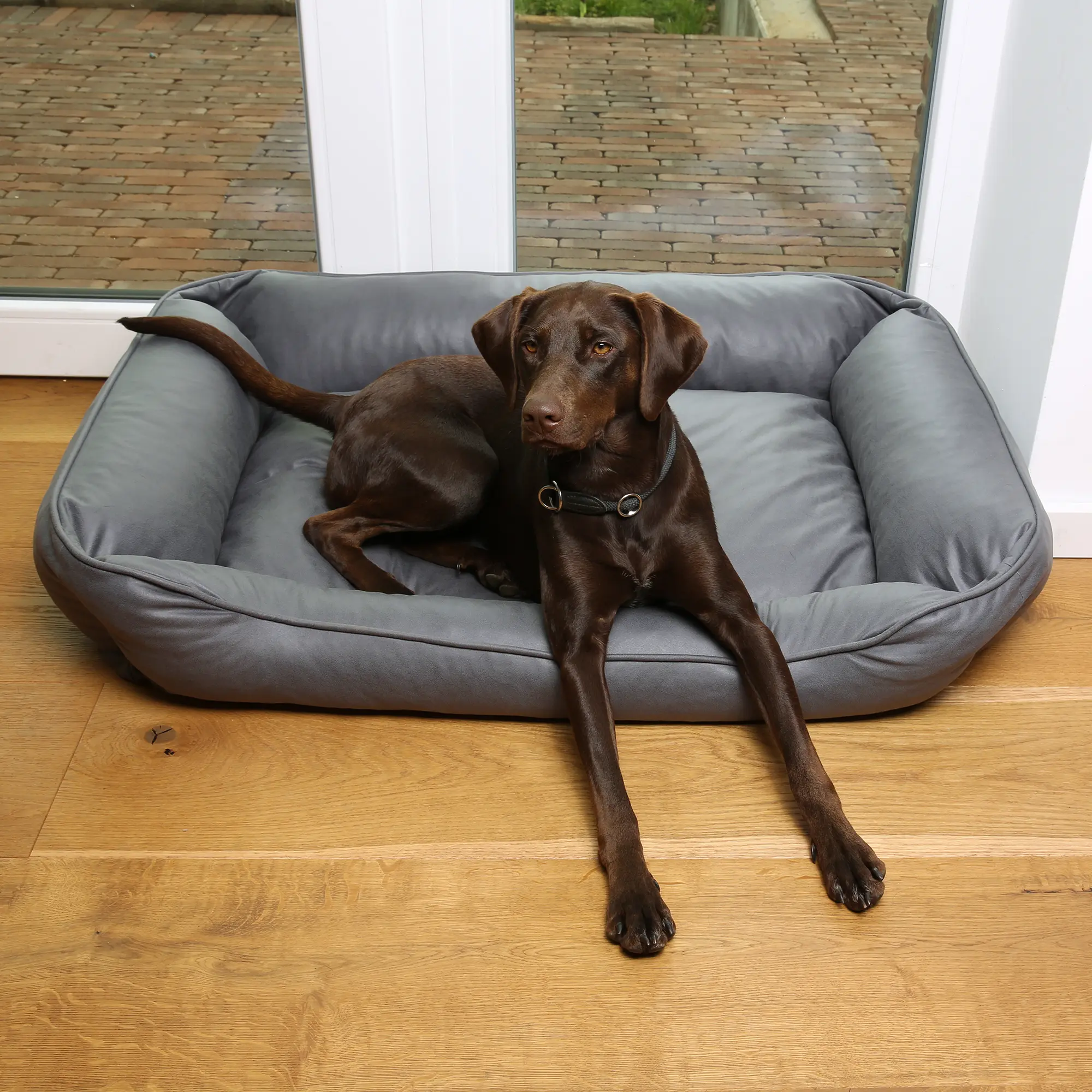 Letto ortopedico per cani your GEAR Belluno 80x120 cm, colore grigio, con bordi alti e imbottiti, superficie ampia e lavabile, ideale per il comfort di cani di taglia grande. Cane marrone sdraiato sul letto.