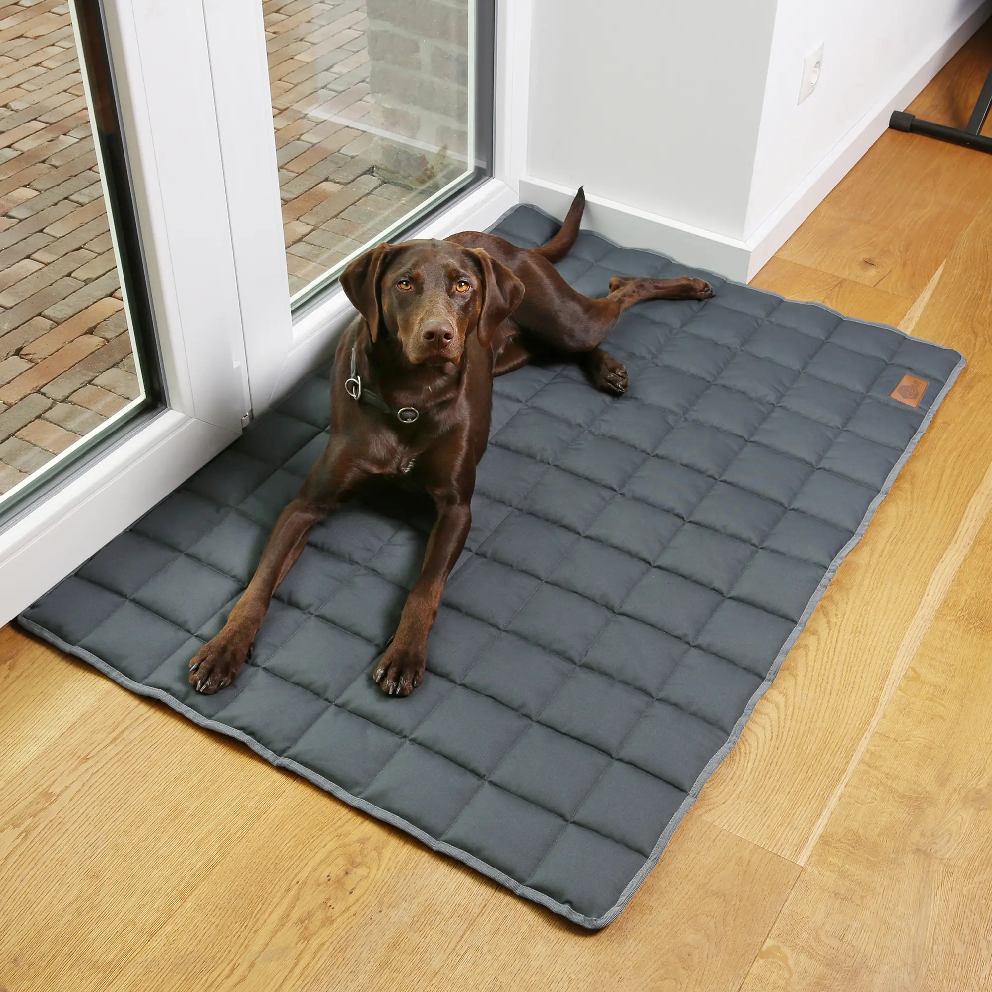 your GEAR Lana alfombrilla para perro 120 x 80cm manta, algodón OEKO-TEX, suave, resistente, lavable