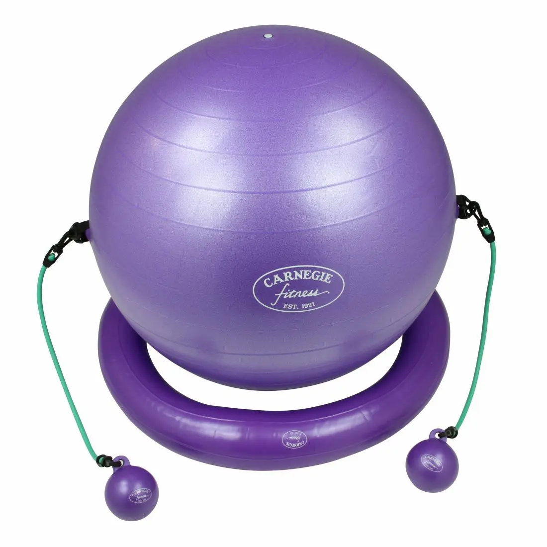 Palla da ginnastica viola Carnegie Fitness con anello stabilizzatore, due bande di resistenza verdi e due pesi tonificanti. Ideale per allenamento forza ed equilibrio. Logo Carnegie visibile sul pallone e sull’anello.