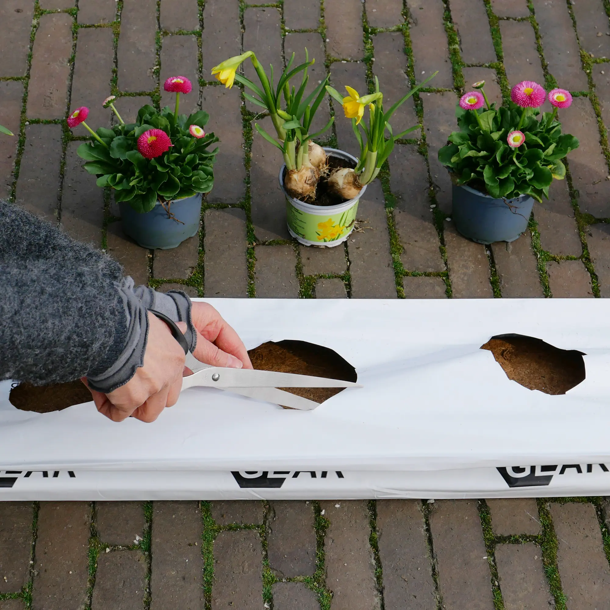 Länglicher yourGEAR 3x25L Coco Grow Bag mit gepresster Kokoserde, von Hand mit Schere geöffnet; im Hintergrund drei Blumentöpfe mit Blumen auf Pflastersteinen.