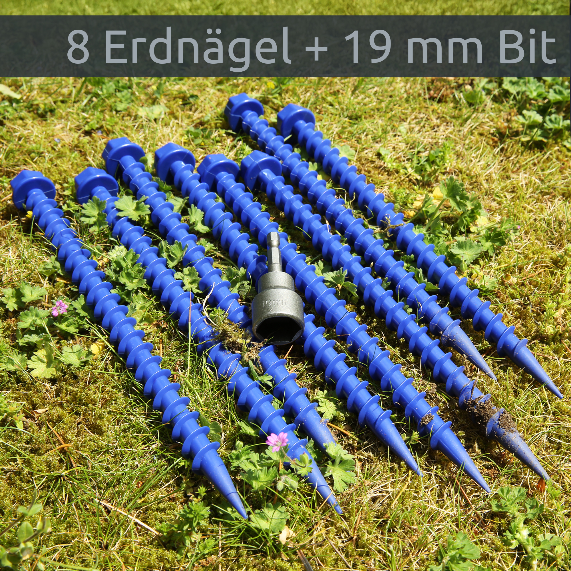 Set da 8 picchetti a vite blu "Short 26" in plastica, filettatura a spirale con punta affilata e attacco esagonale 19 mm mostrati su erba (accessorio caravan, articolo 71583).