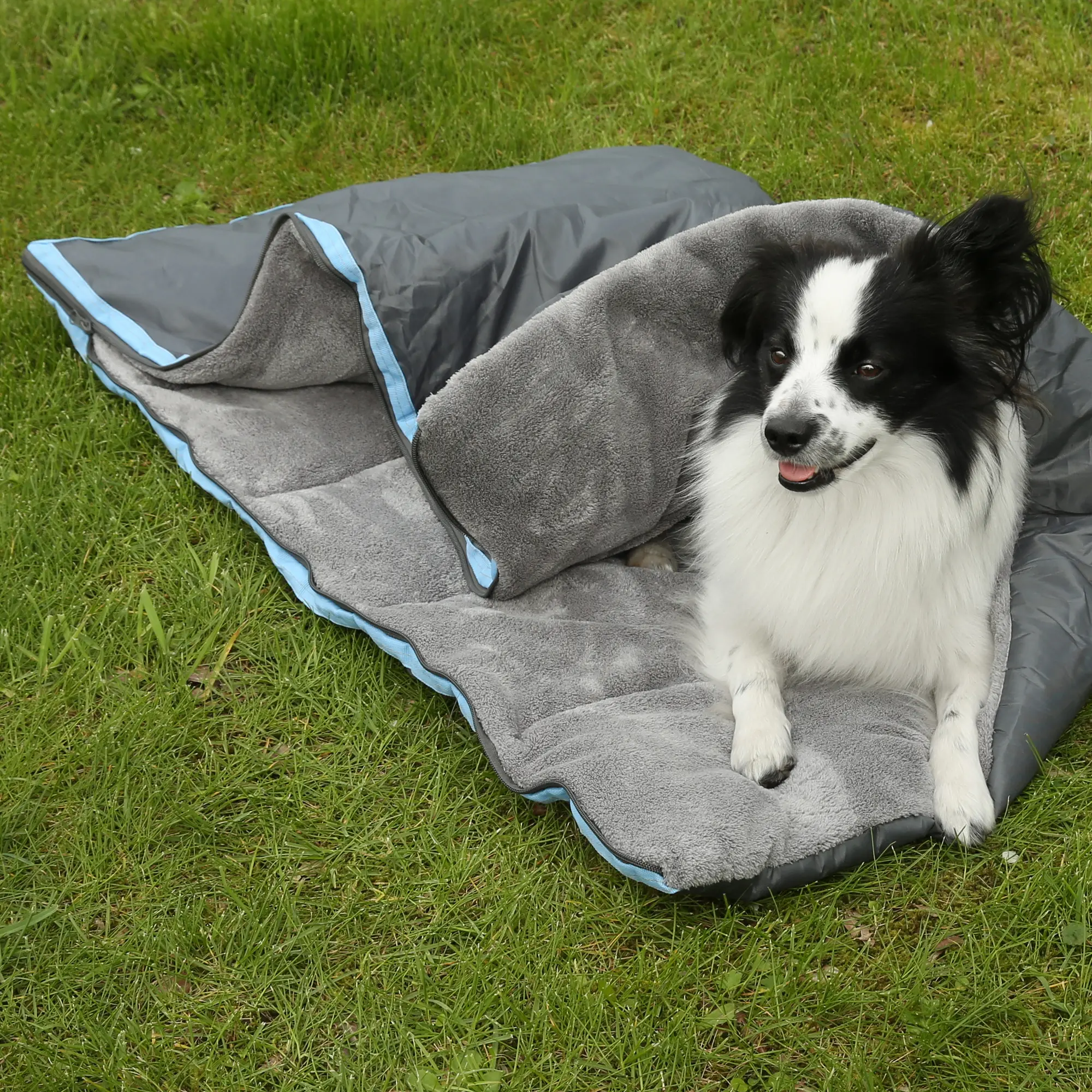 your GEAR Lodi 3-in-1 Hundeschlafsack in Grau mit blauem Rand, aus weicher Mikrofaser, als Decke und Handtuch nutzbar, Hund liegt darauf auf grünem Rasen. Ideal für Camping und Reisen.
