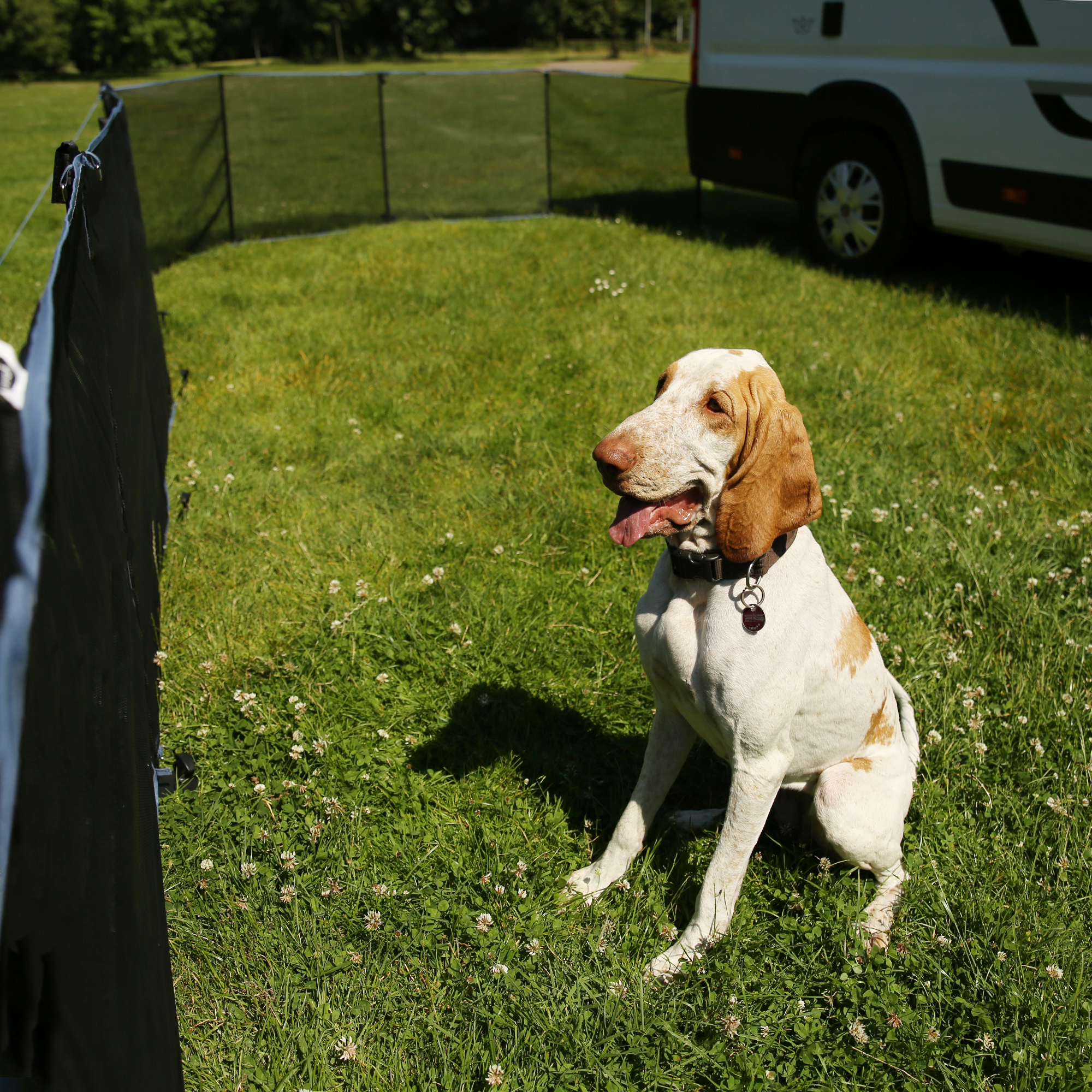 Hund sitzt im mobilen Hundezaun your GEAR Larino 400 auf einer Wiese; der schwarze, 90 cm hohe Zaun ist flexibel aufstellbar und eignet sich ideal für Camping oder Garten. Wohnmobil im Hintergrund.