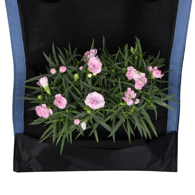 Sac de culture vertical yourGEAR Growbag avec 7 poches, en tissu noir respirant, bordure bleue, contenant des fleurs roses. Idéal pour mur ou clôture, pour plantes et herbes aromatiques.