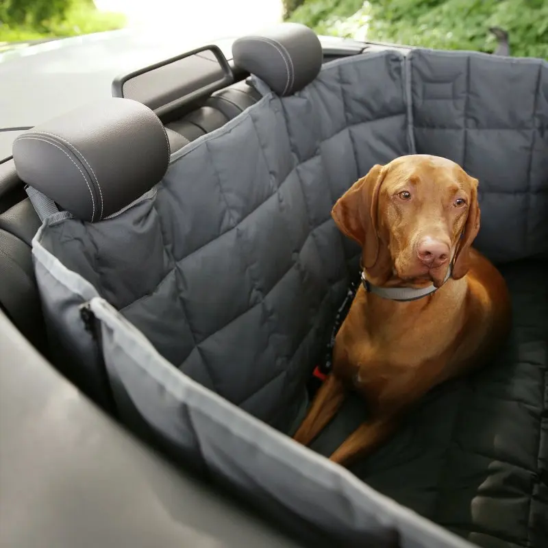 Dog sitting on your GEAR Rapallo car back seat cover, quilted and wannenförmig, with high protective sides, zippered entry, robust, washable material, designed for pets' comfort and seat protection.