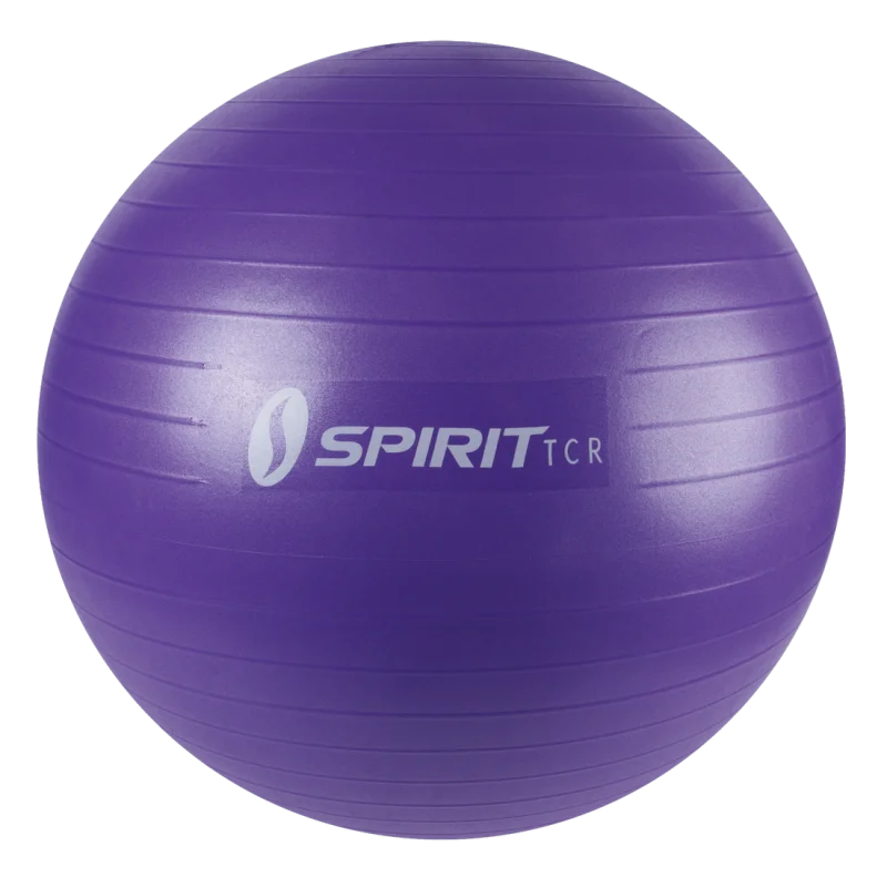 Purple Spirit TCR exercise ball, 65 cm diameter, with anti-burst textured surface and logo, suitable as gym ball, yoga ball, fitness ball, or office chair replacement. Ideal for balance and core training.