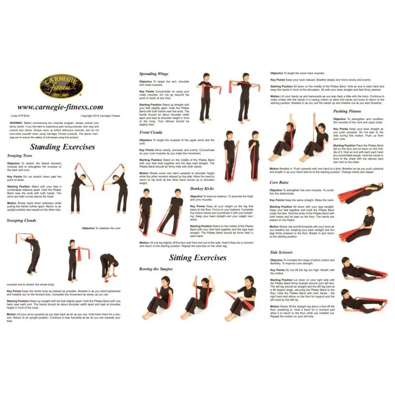 Three Carnegie fitness resistance bands in different strengths with a person demonstrating various exercises; bands are red, long, and flat, suitable for full-body training. Instructional guide and Carnegie Fitness logo visible.