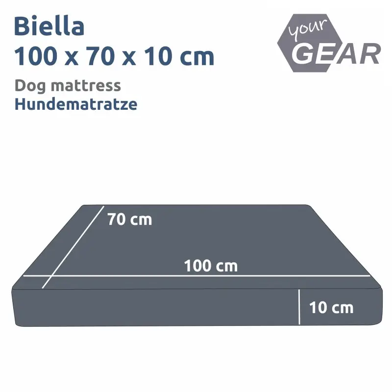 Orthopedic dog mattress your GEAR Biella, size 100x70x10 cm, rectangular, dark color, with labeled dimensions, washable and suitable for dogs, shown with your GEAR logo and bilingual description.