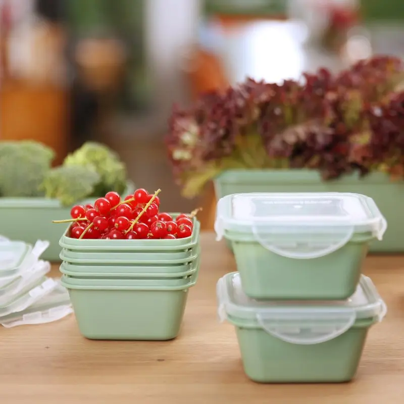 Sechs grüne your GEAR Pila Frischhaltedosen à 300 ml mit transparenten Deckeln, stapelbar, BPA-frei, gefüllt mit Obst und Gemüse, geeignet für Kühlschrank, Gefrierfach und Mikrowelle.