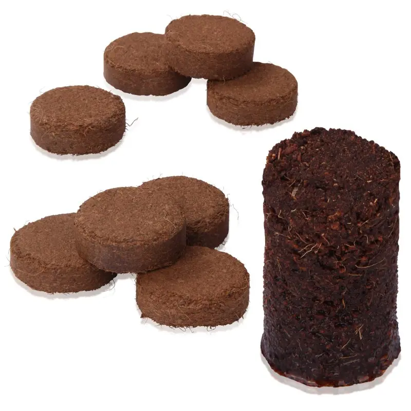 Disques de coco yourGEAR non fertilisés et sans tourbe, diamètre 3 cm, pour semis et culture de plantes. Plusieurs pastilles sèches et une pastille gonflée après ajout d’eau sont visibles.