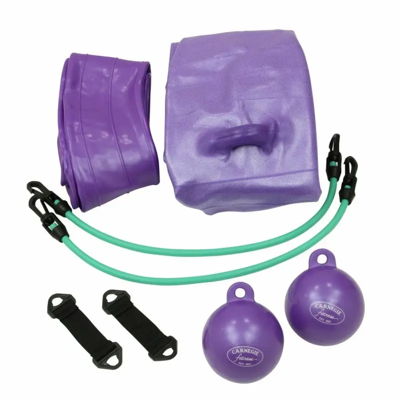 Carnegie Iso Gymnastics Ball set with 65 cm purple exercise ball, stabilizing ring, two resistance tubes, two purple toning balls, and two black handles for strength and balance training.
