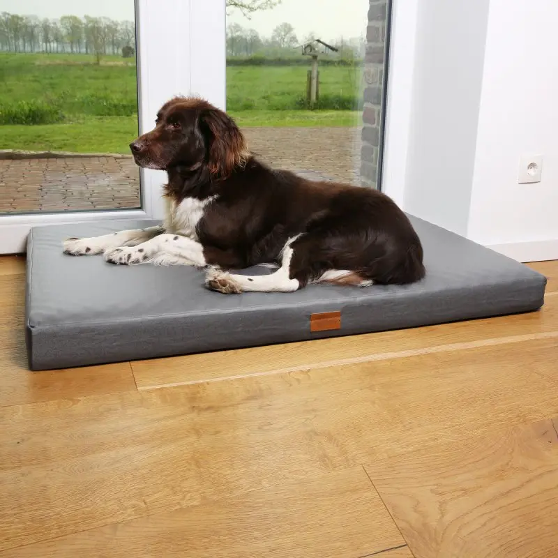 your GEAR Biella 120x80x10 cm orthopädisches Hundebett, Hundematte, Hundekissen, waschbar