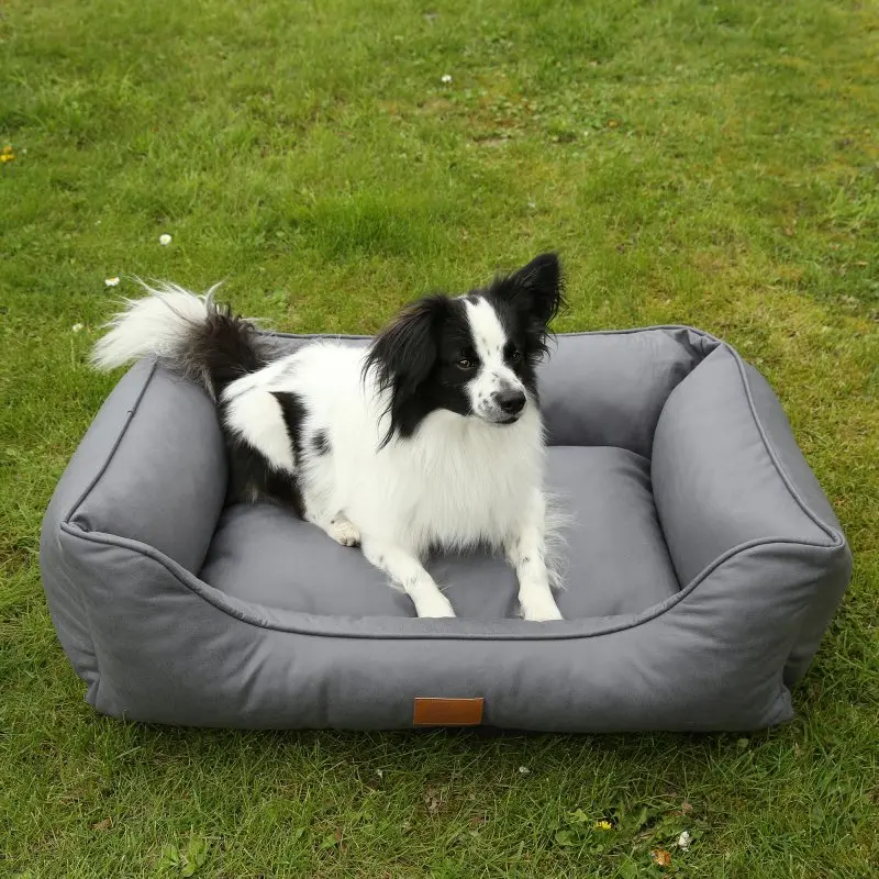 your GEAR Belluno 60 x 80 cm - bequemes Hundebett, Hundekorb, waschbar & hygienisch