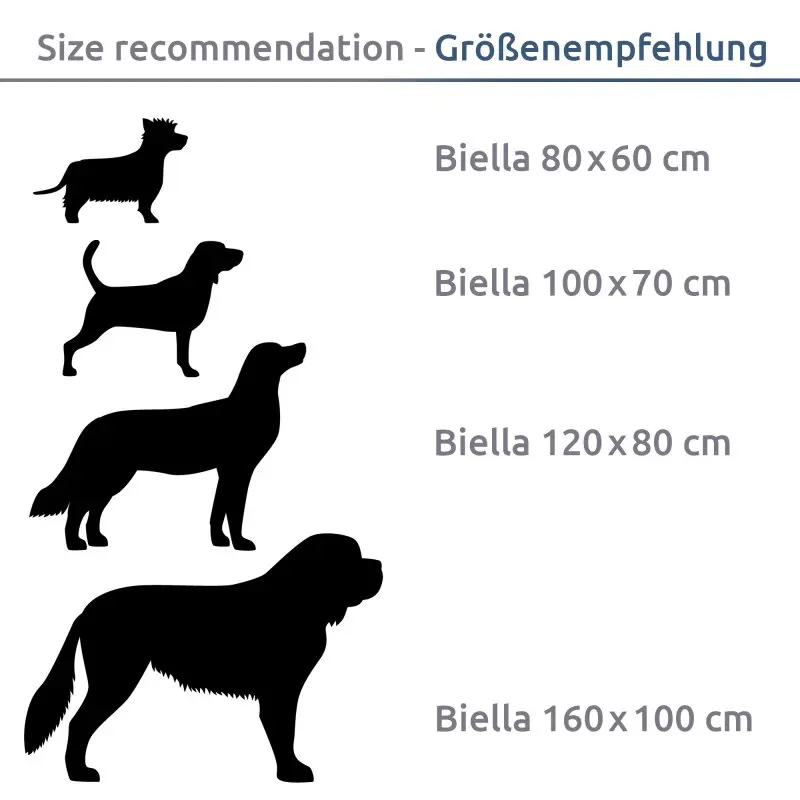 Größenempfehlung für your GEAR Biella Hundebett mit Hundesilhouetten und passenden Maßen: 80x60 cm, 100x70 cm, 120x80 cm, 160x100 cm, für verschiedene Hundegrößen dargestellt.