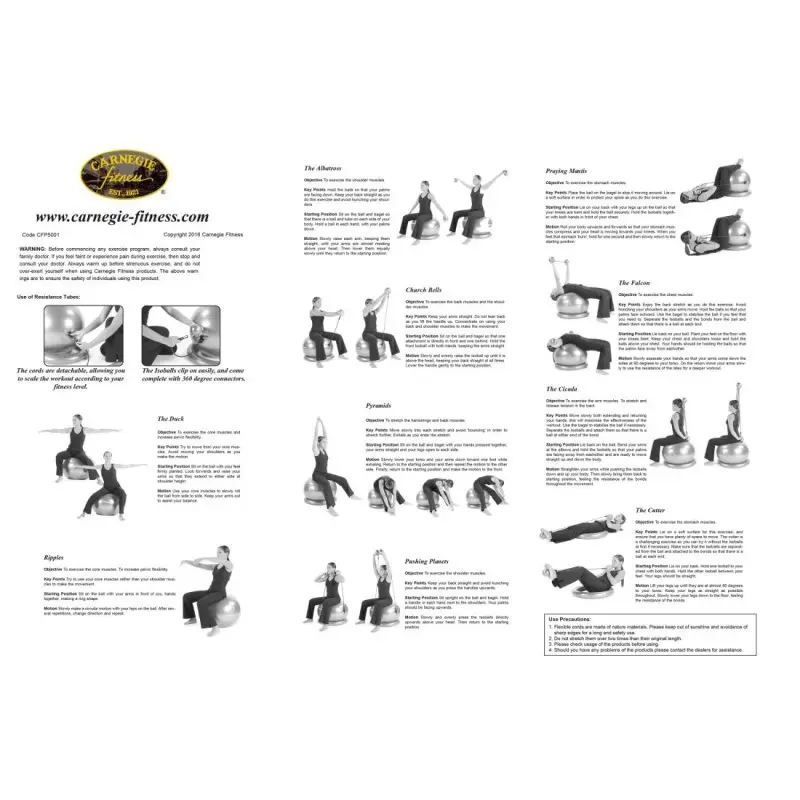 Instructional poster for the Carnegie Iso Gymnastikball set, showing exercise demonstrations with a 65 cm stability ball, resistance bands, toning balls, stabilizing ring, and detailed workout instructions in English.