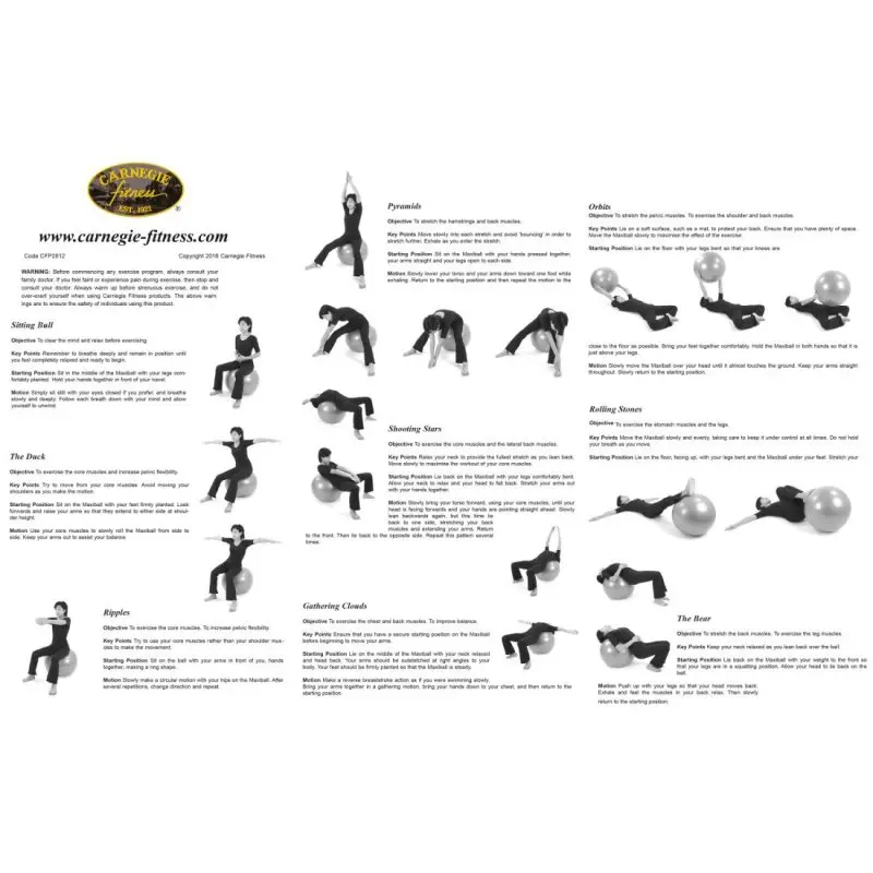 Instruction sheet with black and white images showing various exercises using the Carnegie spiked massage ball, a 55 cm diameter fitness ball, with detailed written workout instructions and the Carnegie Fitness logo.
