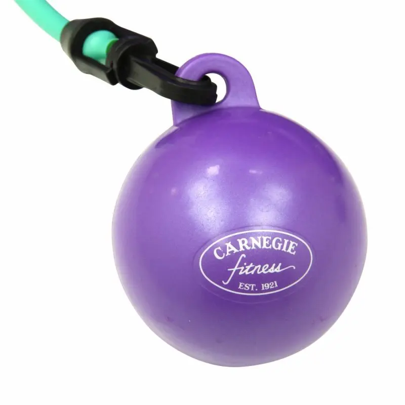 Carnegie H²O Balance Pilates Sitzkissen Toning Sport Fitness Koordination inkl. Widerstandsband Tube