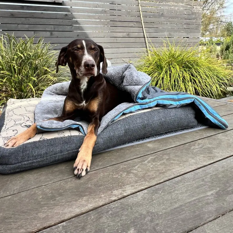 your GEAR Lodi - 3-in-1 Hundeschlafsack Hundedecke Hundehandtuch 100 x 60/120 cm weich warm waschbar
