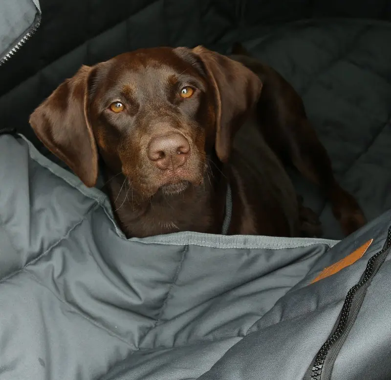 Brown dog lying on the your GEAR Rapallo dog seat cover for car backseats, showing the robust, quilted, soft, and washable material with zipper opening and high protective sides. Ideal for pet travel protection.