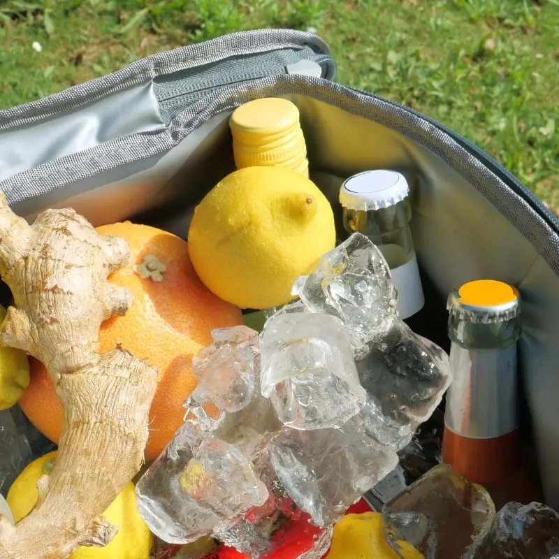 your GEAR Kühlkorb Scivu - isolierter Einkaufskorb, 29 Liter Picknickkorb, Kühltasche