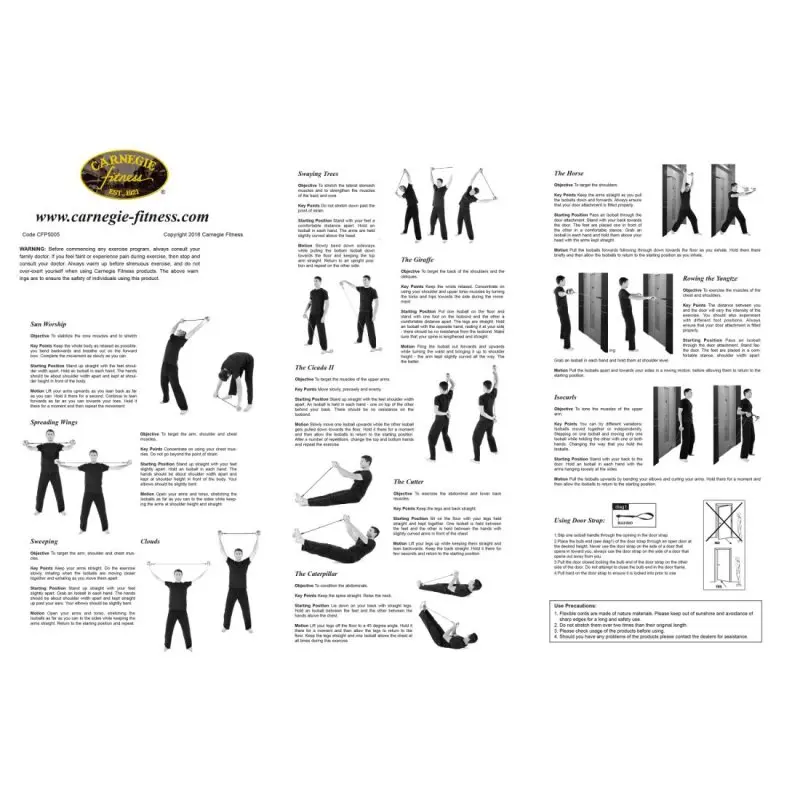 Instructional workout poster for the Carnegie Iso 2x Toning weight balls and fitness tube, showing illustrated exercises, proper form, and usage instructions for a full-body workout, with branding and safety guidelines.