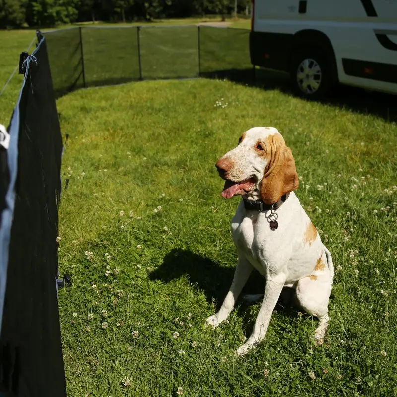 Mobiler Hundezaun your GEAR Larino 400, 90 cm hoch, als Freigehege auf Wiese beim Camping genutzt; großer Hund sitzt sicher im umzäunten Bereich, im Hintergrund Wohnmobil.