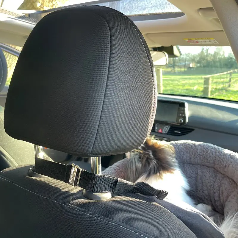 your GEAR Frontera dog car seat with high padded sides, adjustable safety leash, and secure strap attached to the front seat headrest, shown with a small dog sitting comfortably on the passenger seat.