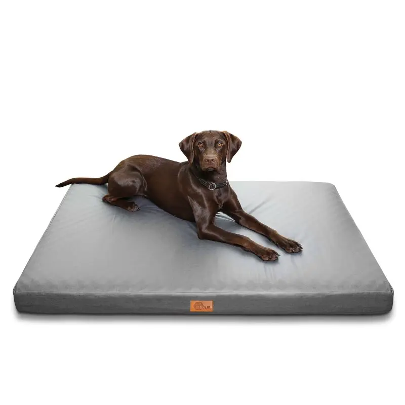 your GEAR Biella 120x80x10 cm orthopädisches Hundebett, Hundematte, Hundekissen, waschbar
