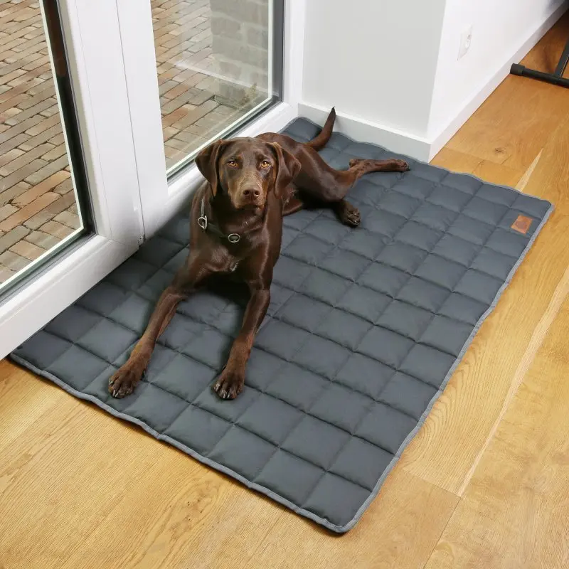 your GEAR Lana Hundematte 120 x 80 cm - Hundedecke, Baumwolle, robust, waschbar, Indoor & Outdoor