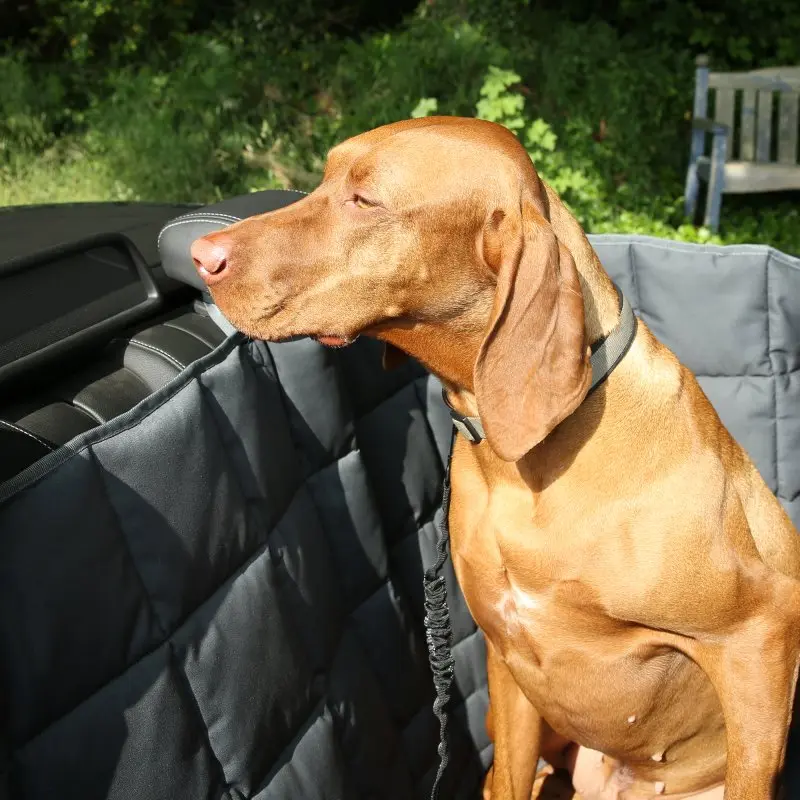 2nd Chance - your GEAR Rapallo - Hunde Schondecke für Auto Rücksitzbank mit 2 Einstiegen, robust, weich, waschbar (71369)