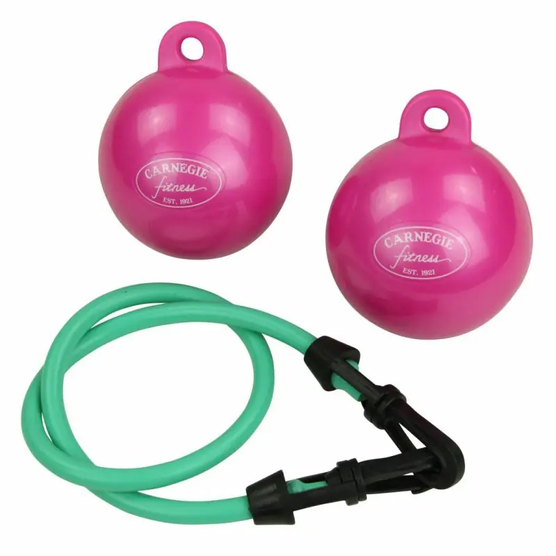 Two pink Carnegie Fitness weighted balls with handles and a green resistance tube with black handles, designed for full-body workouts, strength training, and rehabilitation exercises.