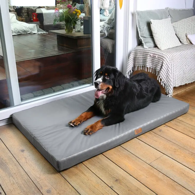your GEAR Biella 160x100x10 cm orthopädisches Hundebett, Hundematte, waschbar