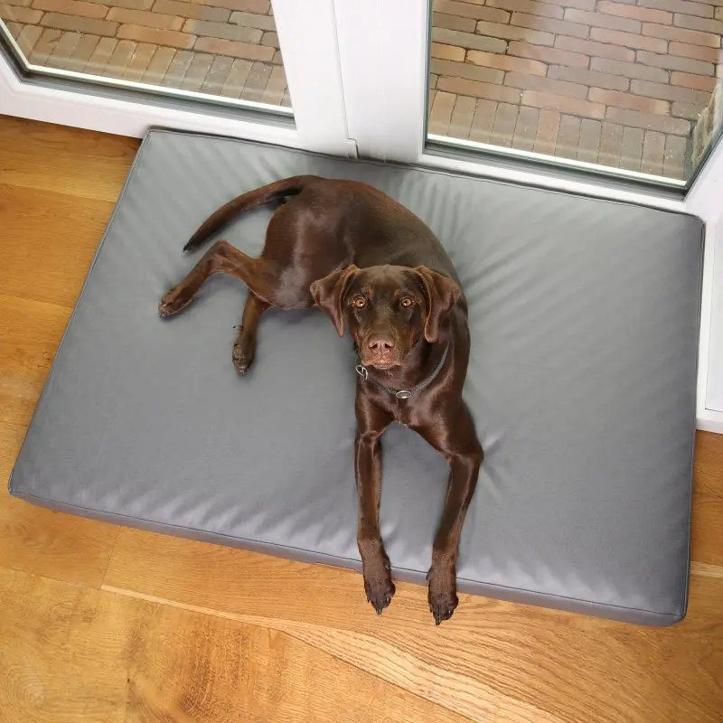 your GEAR Biella 160x100x10 cm orthopädisches Hundebett, Hundematte, waschbar