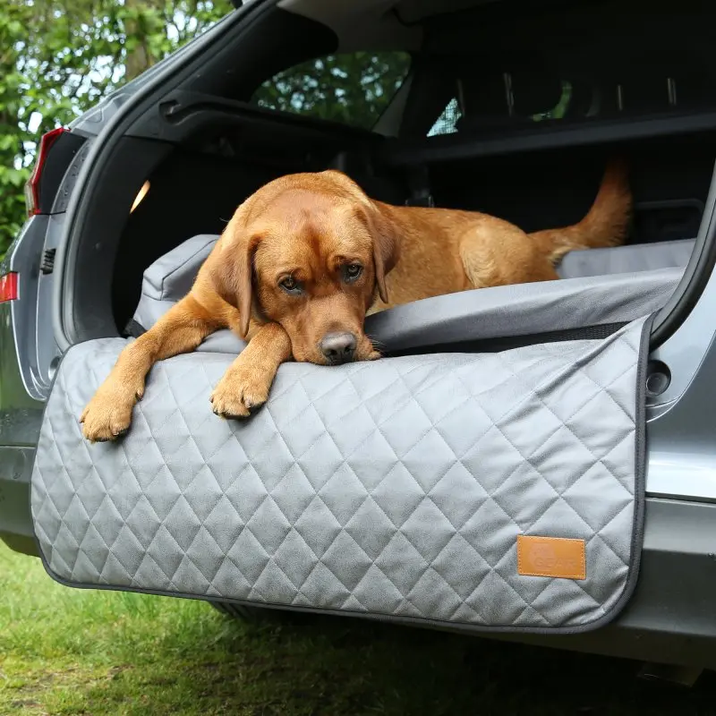 Hund liegt auf dem your GEAR Termoli Hundebett im Kofferraum eines Autos; das graue, gesteppt gepolsterte Bett mit Stoßstangenschutz schützt Auto und Hund und passt universell in verschiedene Fahrzeuggrößen.