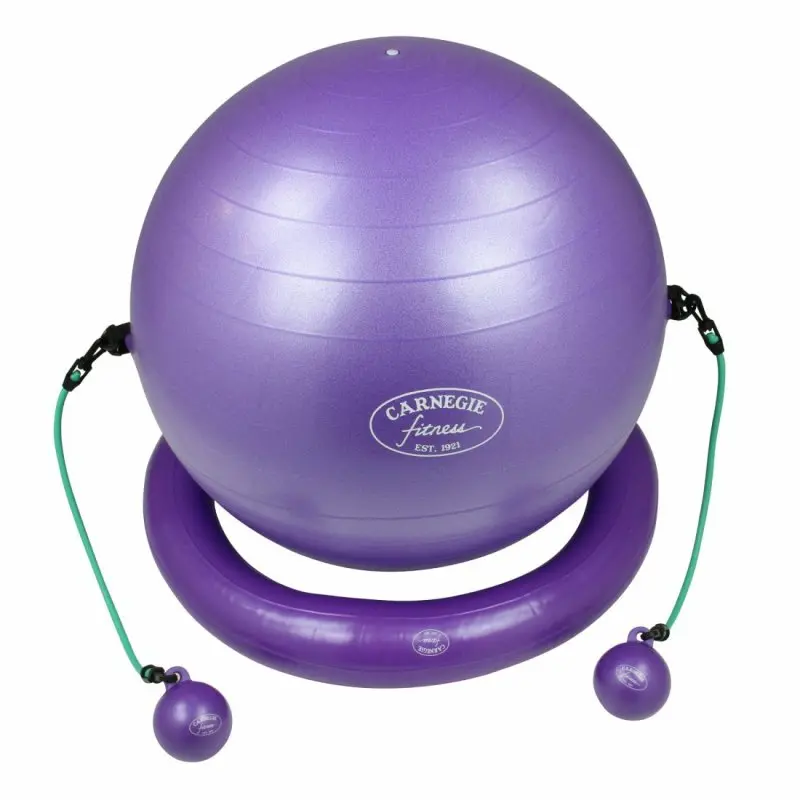 Purple Carnegie Iso gym ball set with stabilizing ring, two green resistance tubes, and two toning balls. All items display the Carnegie Fitness logo. Ideal for strength and balance training.