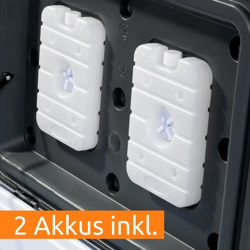 Intérieur de la glacière yourGEAR Coolah 60 L avec deux blocs réfrigérants inclus, fixés au couvercle. Boîte isotherme en plastique gris, idéale pour garder aliments et boissons au frais ou au chaud.