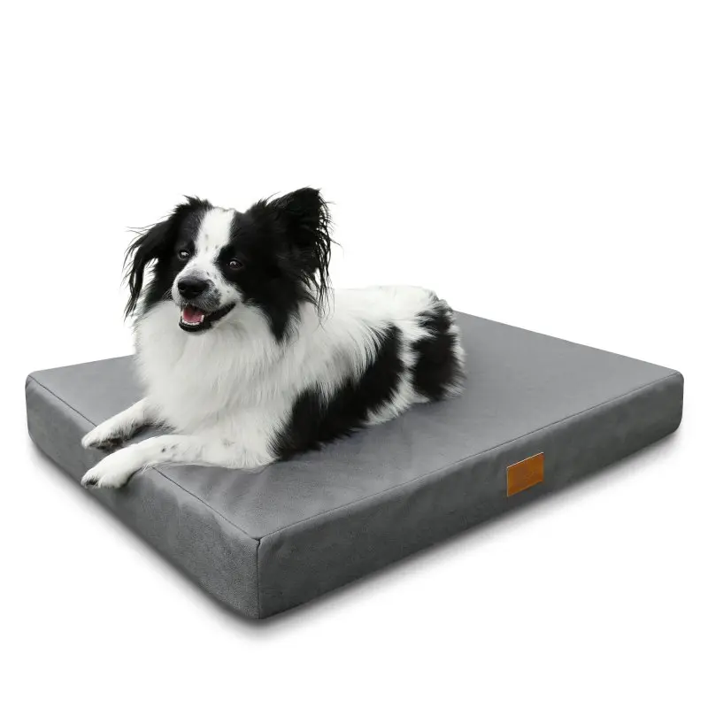 Schwarz-weiß gefleckter Hund liegt auf einem grauen your GEAR Biella orthopädischen Hundebett, 80x60x10 cm, rechteckig, mit OEKO-TEX-Label, maschinenwaschbar, geeignet für Komfort und Gesundheit.