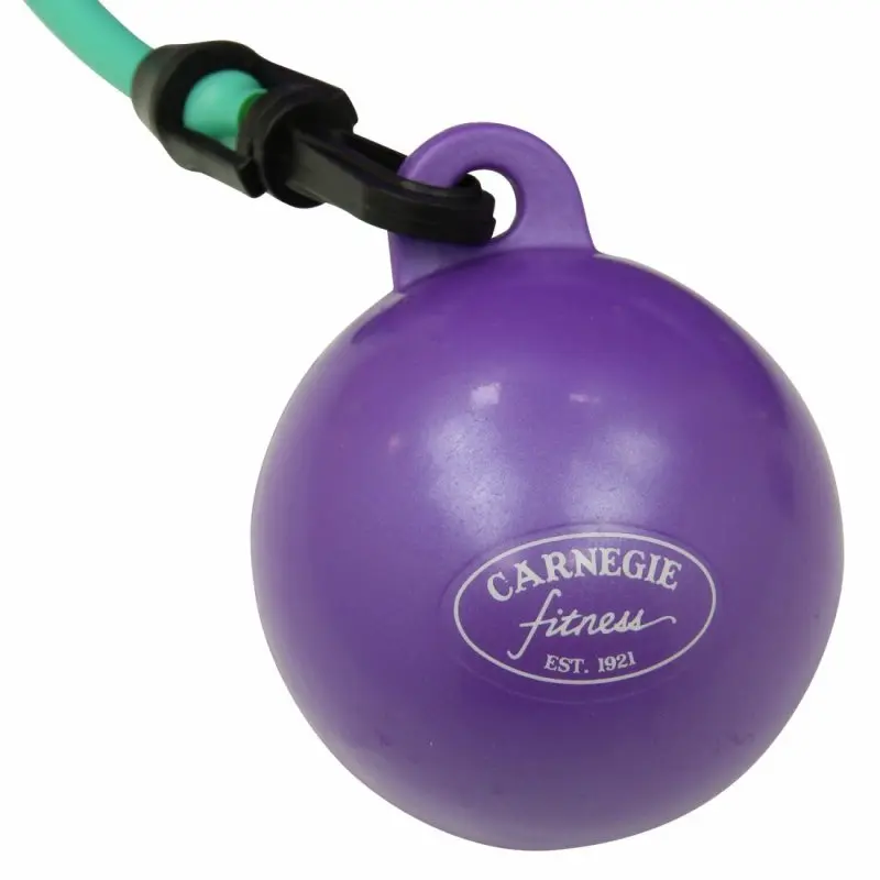 Purple Carnegie Fitness toning ball with attached green resistance band, black clip, and visible logo. Ideal for strength and balance exercises as part of the Iso System gym ball set.